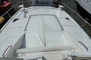 2018 Leopard Power Cat Bow Seating
