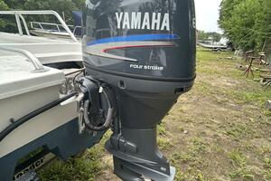 22' Twin Vee starboard outboard1