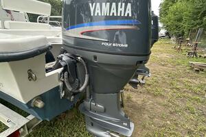 22' Twin Vee port outboard1