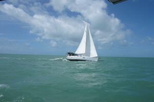 Vessel Image #4