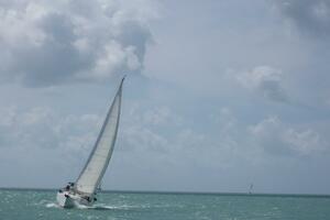 Vessel Image #3