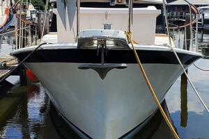 Bow Profile