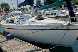 Vessel Image #8