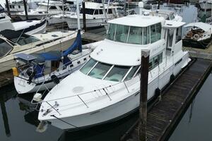Family Affair IV 50ft Carver Yacht For Sale