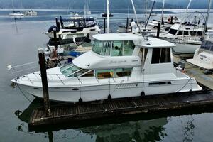 Family Affair IV 50ft Carver Yacht For Sale