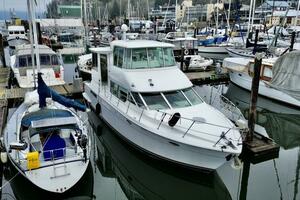 Family Affair IV 50ft Carver Yacht For Sale