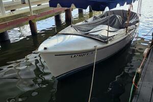 Butterfly 21ft Duffy Yacht For Sale