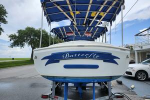 Butterfly 21ft Duffy Yacht For Sale