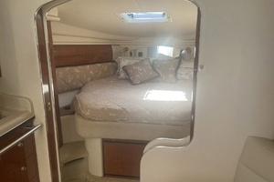 Liquidated 36ft Sea Ray Yacht For Sale