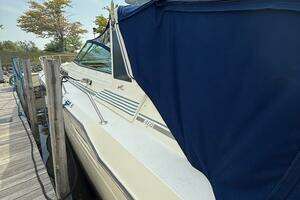 1989 Sea Ray 460 Express Cruiser thumbnail 8