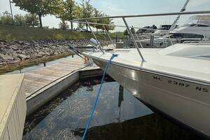 1989 Sea Ray 460 Express Cruiser thumbnail 10
