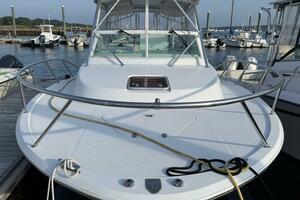 Fortuna  28ft Southport Yacht For Sale