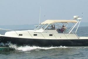 34' Mainship port profile
