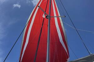 UNCAGED Worth Avenue Yachts