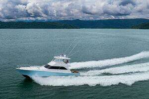2004 Viking 61 Convertible thumbnail 102