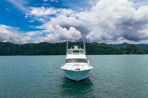 2004 Viking 61 Convertible thumbnail 87