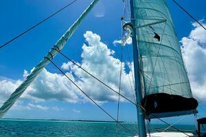 2018-lagoon-400-s2-sail-9891976-20250731155410878-1.jpg