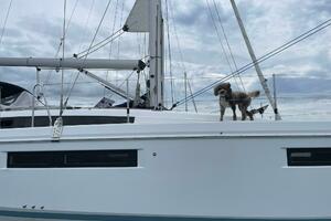 Shaz 40ft Jeanneau Yacht For Sale