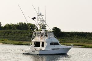 Reel Class 54ft Bertram Yacht For Sale