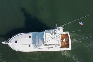 Reel Class 54ft Bertram Yacht For Sale