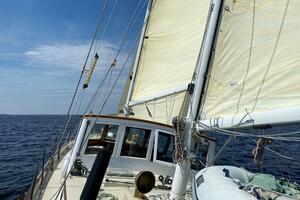 Vessel Image #8