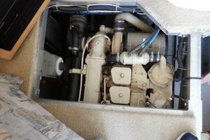 Y Knot 35ft Carver Yacht For Sale