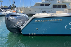 2019 Grady-White 370 Express 