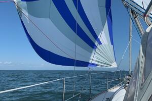 Vessel Image #6
