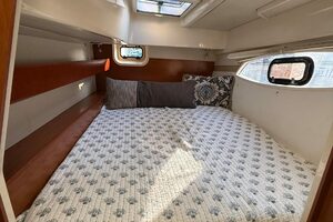 2010-leopard-38-sail-9895783-20250804153247484-1.jpg