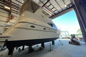 Knot Complaining 41ft Maxum Yacht For Sale