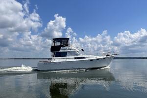 Gypsy Rouge 38ft Bayliner Yacht For Sale