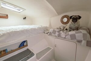 2001-voyage-440-sail-9904844-20250809050903754-4.jpg