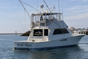 WILD RICE 50ft Viking Yacht For Sale