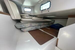 Black Dog 27ft Catalina Yacht For Sale