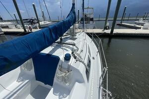 Black Dog 27ft Catalina Yacht For Sale