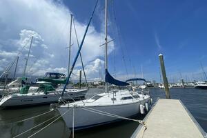 Black Dog 27ft Catalina Yacht For Sale