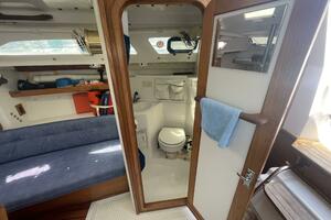 Black Dog 27ft Catalina Yacht For Sale