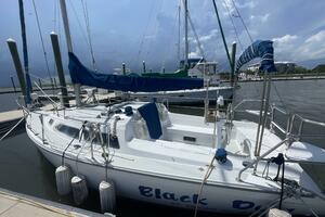 Black Dog 27ft Catalina Yacht For Sale