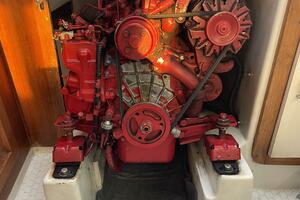 Black Dog 27ft Catalina Yacht For Sale