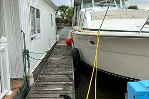 1977 Bertram 42 Motor Yacht thumbnail 4
