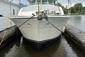 1977 Bertram 42 Motor Yacht thumbnail 3