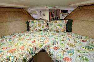 1977 Bertram 42 Motor Yacht thumbnail 40