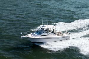Crazy Lady 30ft Grady White Yacht For Sale