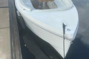 2022 Rand 18' Electric Boat