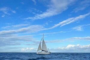 MOONLIGHT LADY 47ft Robertson  amp  Caine Yacht For Sale