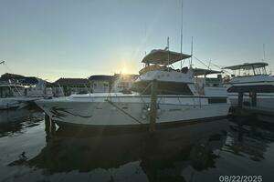 1984 Viking 44 thumbnail 4