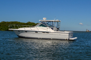 Tiara 3100