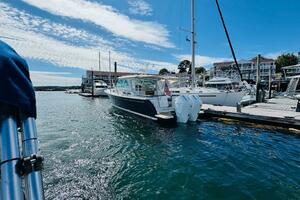 39FT (12.07M) BACK COVE