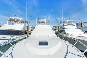 Live Wire 48ft Ocean Yachts Yacht For Sale