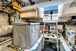 Live Wire 48ft Ocean Yachts Yacht For Sale